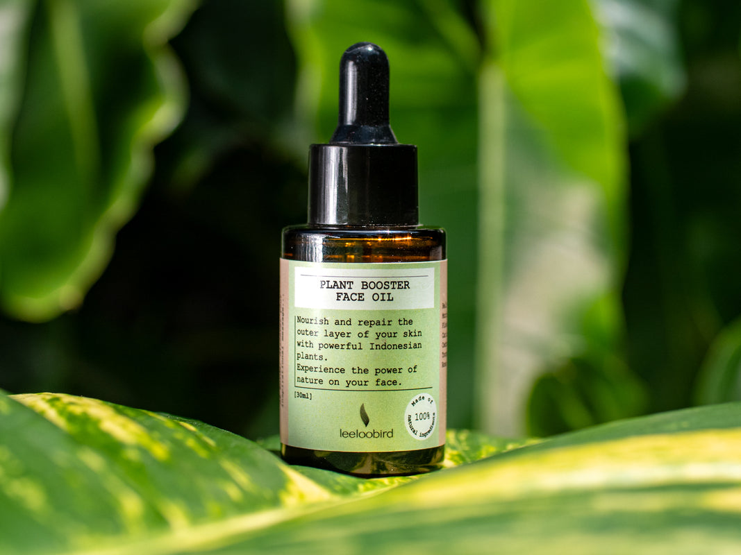 Herbal Lip Care conscious skincare by LeeLooBird Bali