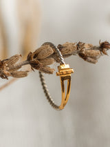 Turst ring Gold Vermeil by LeeLooBird Jewelry Bali
